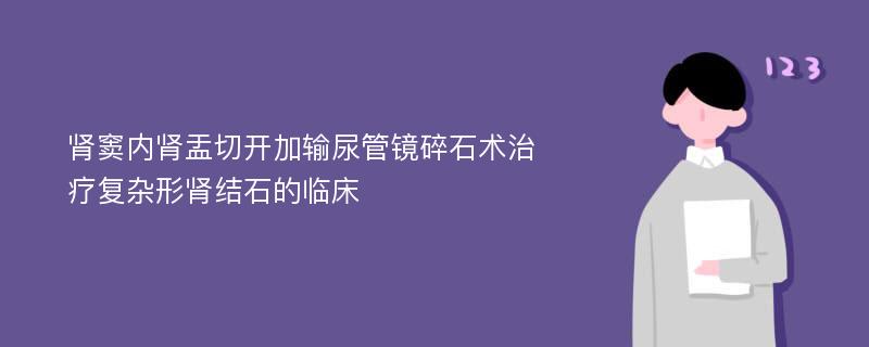 肾窦内肾盂切开加输尿管镜碎石术治疗复杂形肾结石的临床