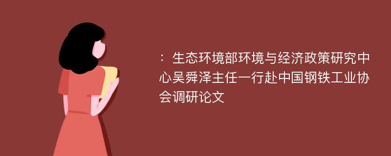 ：生态环境部环境与经济政策研究中心吴舜泽主任一行赴中国钢铁工业协会调研论文