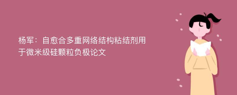 杨军：自愈合多重网络结构粘结剂用于微米级硅颗粒负极论文