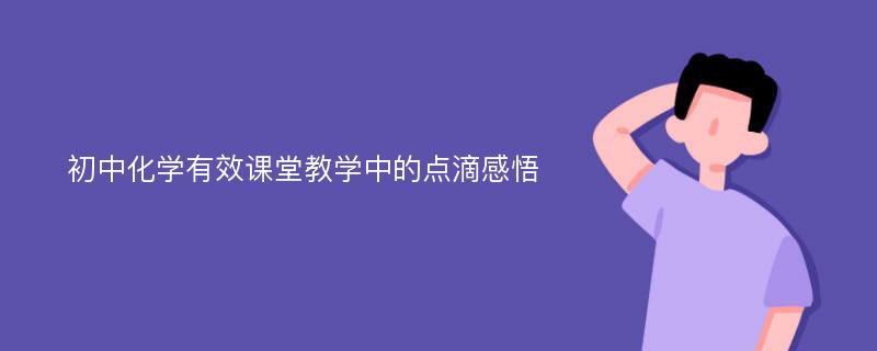 初中化学有效课堂教学中的点滴感悟