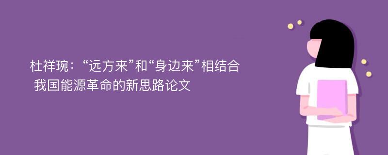 杜祥琬：“远方来”和“身边来”相结合 我国能源革命的新思路论文