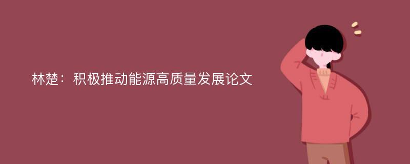 林楚：积极推动能源高质量发展论文