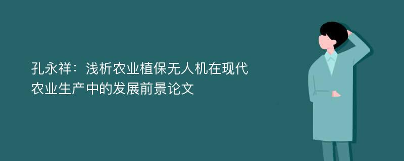 孔永祥：浅析农业植保无人机在现代农业生产中的发展前景论文