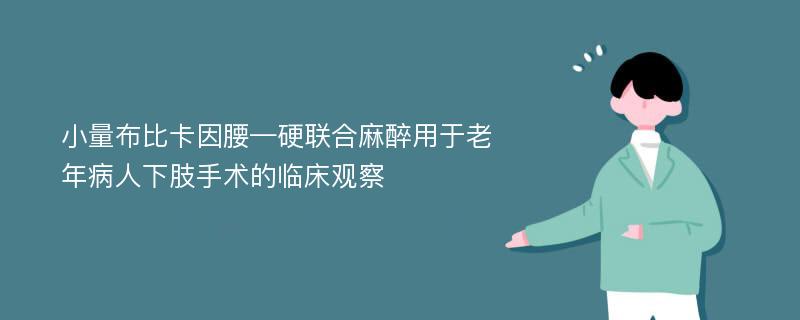 小量布比卡因腰—硬联合麻醉用于老年病人下肢手术的临床观察