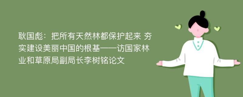 耿国彪：把所有天然林都保护起来 夯实建设美丽中国的根基——访国家林业和草原局副局长李树铭论文