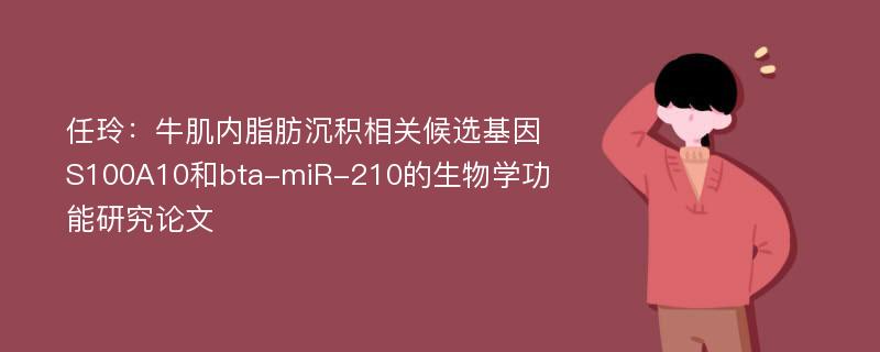 任玲：牛肌内脂肪沉积相关候选基因S100A10和bta-miR-210的生物学功能研究论文