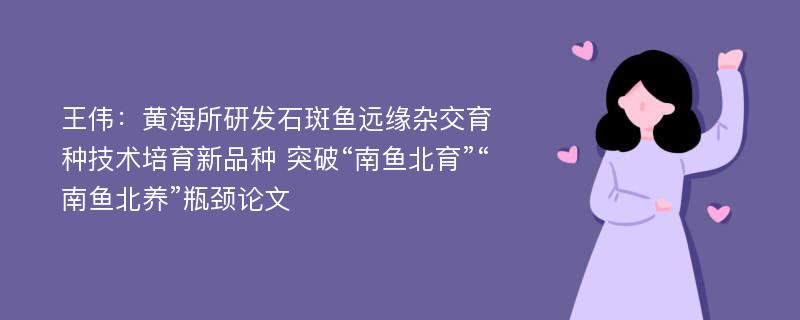 王伟：黄海所研发石斑鱼远缘杂交育种技术培育新品种 突破“南鱼北育”“南鱼北养”瓶颈论文