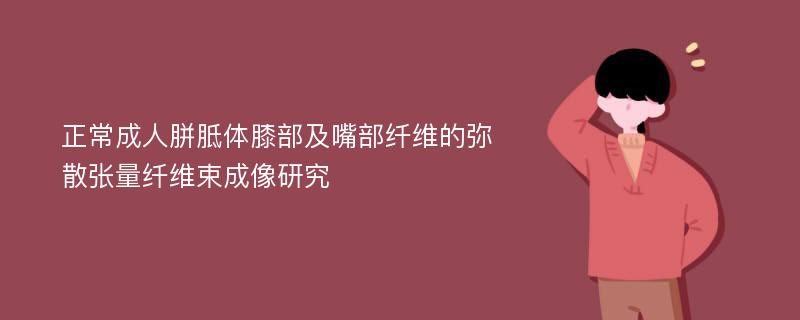 正常成人胼胝体膝部及嘴部纤维的弥散张量纤维束成像研究