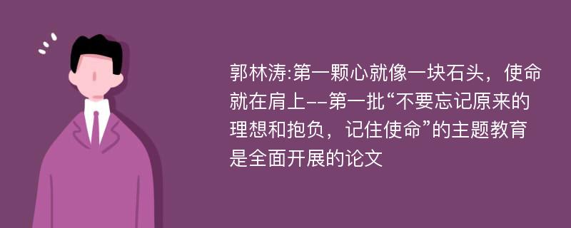 郭林涛:第一颗心就像一块石头，使命就在肩上--第一批“不要忘记原来的理想和抱负，记住使命”的主题教育是全面开展的论文