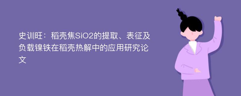 史训旺：稻壳焦SiO2的提取、表征及负载镍铁在稻壳热解中的应用研究论文