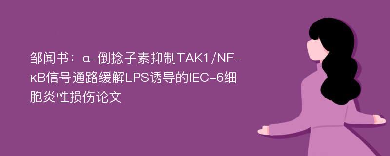 邹闻书：α-倒捻子素抑制TAK1/NF-κB信号通路缓解LPS诱导的IEC-6细胞炎性损伤论文