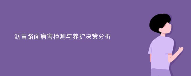 沥青路面病害检测与养护决策分析