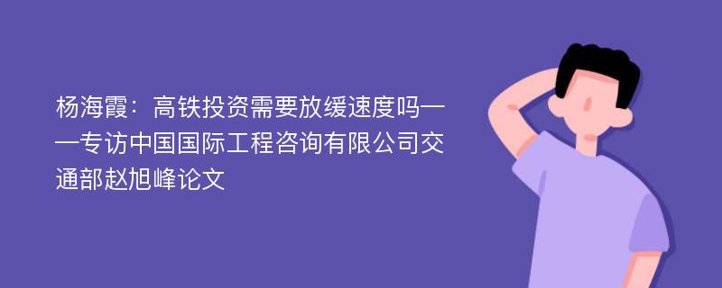 杨海霞：高铁投资需要放缓速度吗——专访中国国际工程咨询有限公司交通部赵旭峰论文