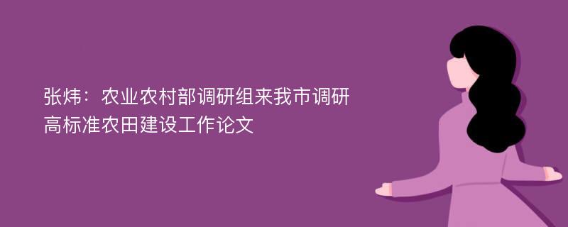 张炜：农业农村部调研组来我市调研高标准农田建设工作论文