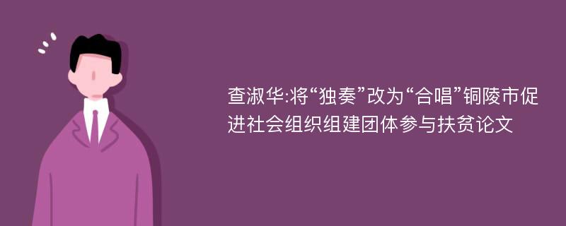 查淑华:将“独奏”改为“合唱”铜陵市促进社会组织组建团体参与扶贫论文