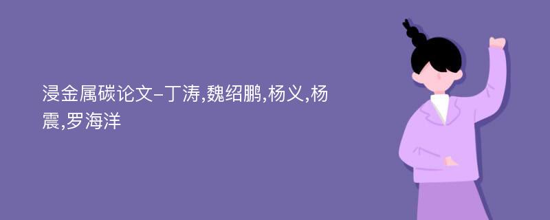 浸金属碳论文-丁涛,魏绍鹏,杨义,杨震,罗海洋