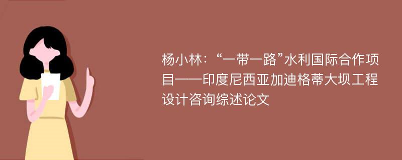 杨小林：“一带一路”水利国际合作项目——印度尼西亚加迪格蒂大坝工程设计咨询综述论文