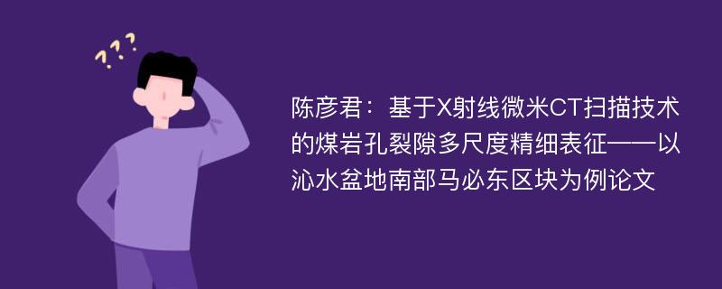 陈彦君：基于X射线微米CT扫描技术的煤岩孔裂隙多尺度精细表征——以沁水盆地南部马必东区块为例论文