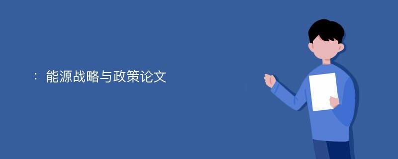 ：能源战略与政策论文