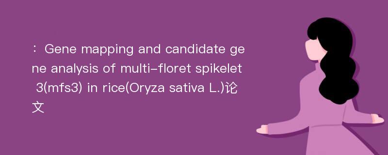 ：Gene mapping and candidate gene analysis of multi-floret spikelet 3(mfs3) in rice(Oryza sativa L.)论文