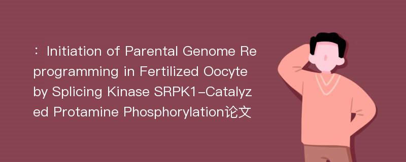 ：Initiation of Parental Genome Reprogramming in Fertilized Oocyte by Splicing Kinase SRPK1-Catalyzed Protamine Phosphorylation论文