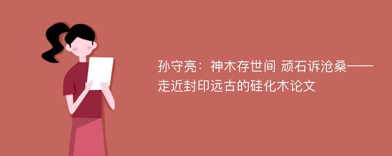 孙守亮：神木存世间 顽石诉沧桑——走近封印远古的硅化木论文