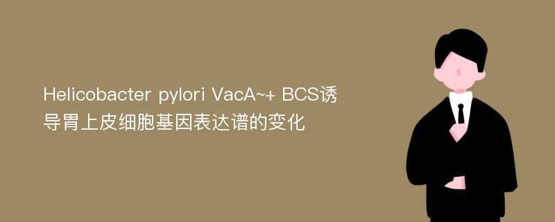 Helicobacter pylori VacA~+ BCS诱导胃上皮细胞基因表达谱的变化