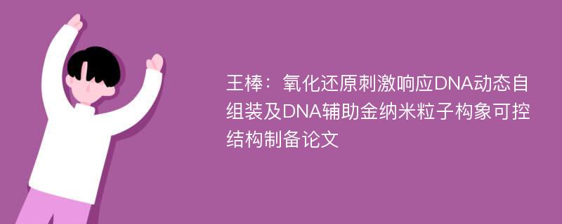 王棒：氧化还原刺激响应DNA动态自组装及DNA辅助金纳米粒子构象可控结构制备论文