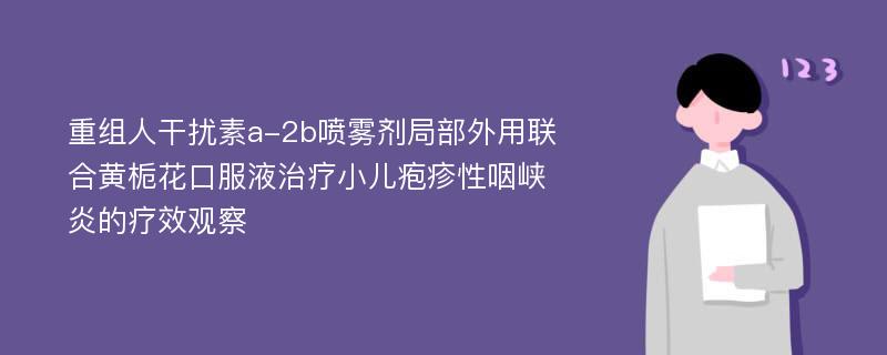 重组人干扰素a-2b喷雾剂局部外用联合黄栀花口服液治疗小儿疱疹性咽峡炎的疗效观察