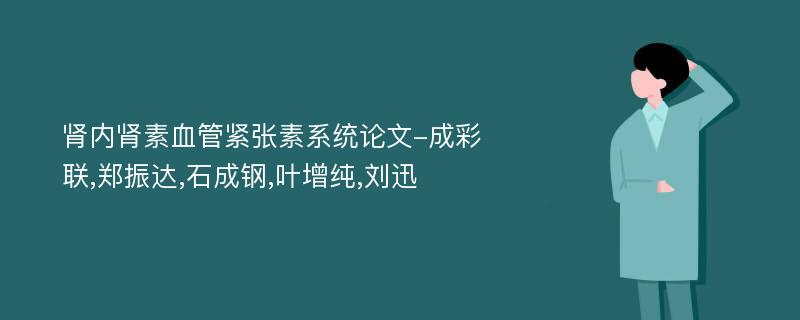 肾内肾素血管紧张素系统论文-成彩联,郑振达,石成钢,叶增纯,刘迅