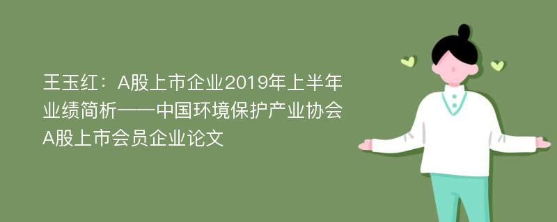 王玉红：A股上市企业2019年上半年业绩简析——中国环境保护产业协会A股上市会员企业论文