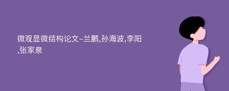 微观显微结构论文-兰鹏,孙海波,李阳,张家泉