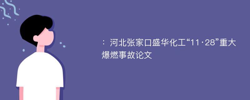 ：河北张家口盛华化工“11·28”重大爆燃事故论文