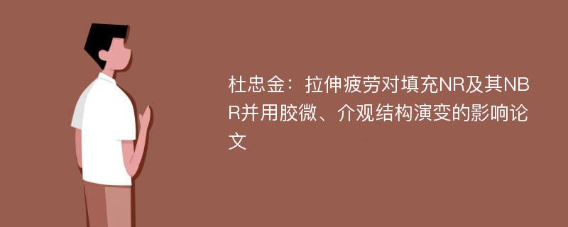 杜忠金：拉伸疲劳对填充NR及其NBR并用胶微、介观结构演变的影响论文