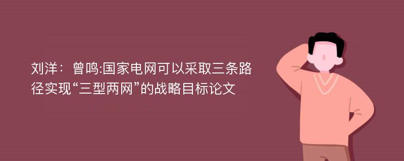 刘洋：曾鸣:国家电网可以采取三条路径实现“三型两网”的战略目标论文