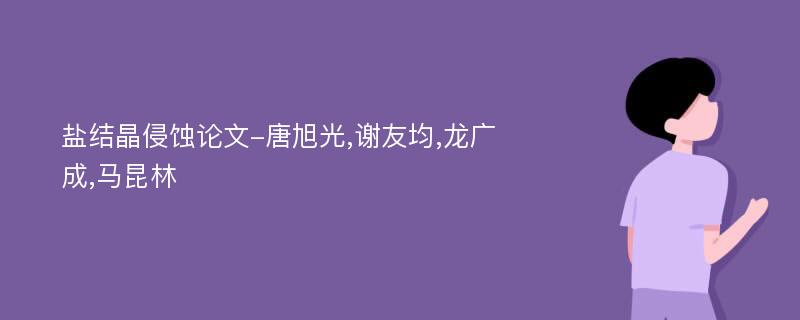 盐结晶侵蚀论文-唐旭光,谢友均,龙广成,马昆林