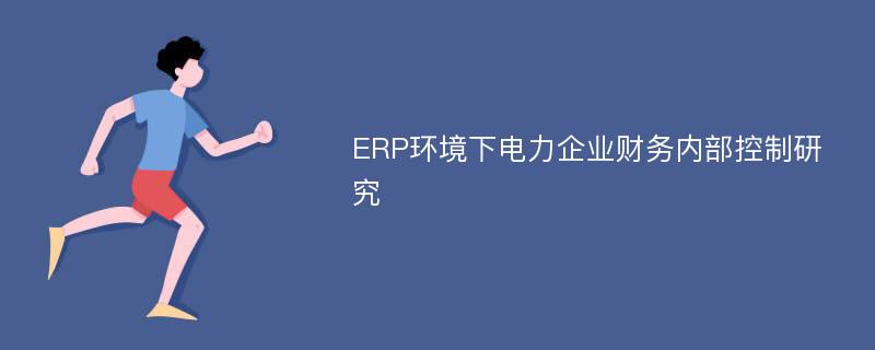 ERP环境下电力企业财务内部控制研究