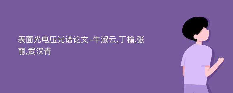 表面光电压光谱论文-牛淑云,丁榆,张丽,武汉青