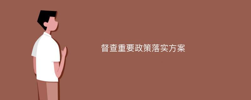 督查重要政策落实方案