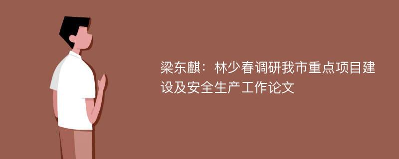 梁东麒：林少春调研我市重点项目建设及安全生产工作论文