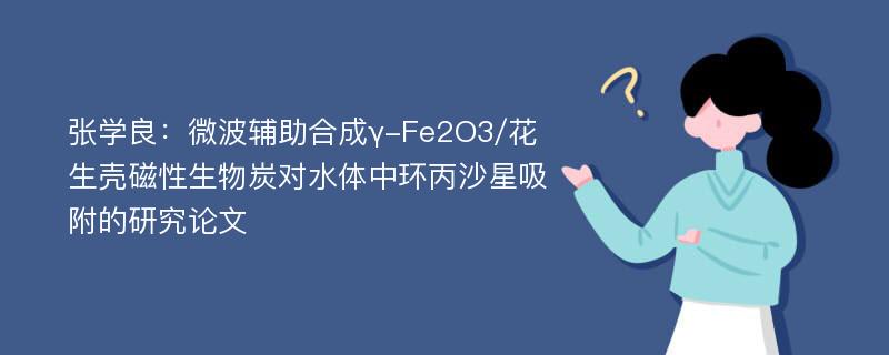 张学良：微波辅助合成γ-Fe2O3/花生壳磁性生物炭对水体中环丙沙星吸附的研究论文