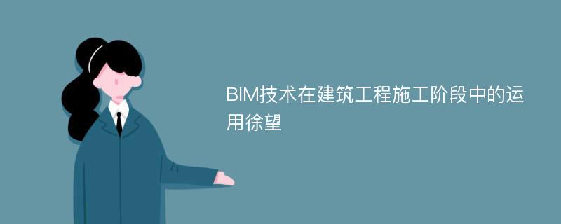 BIM技术在建筑工程施工阶段中的运用徐望