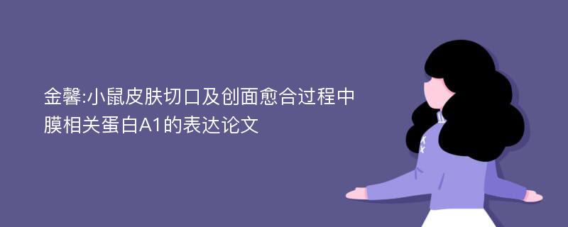 金馨:小鼠皮肤切口及创面愈合过程中膜相关蛋白A1的表达论文