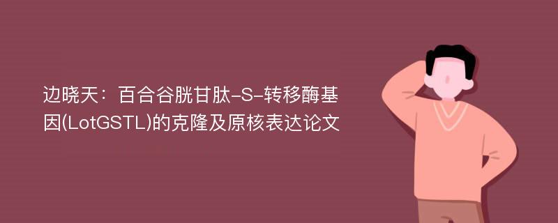 边晓天：百合谷胱甘肽-S-转移酶基因(LotGSTL)的克隆及原核表达论文