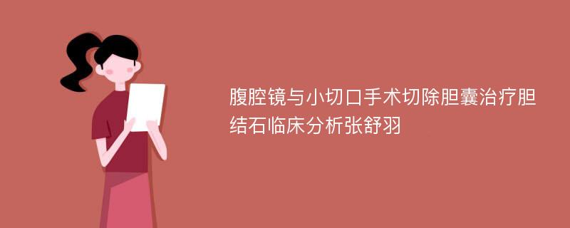 腹腔镜与小切口手术切除胆囊治疗胆结石临床分析张舒羽