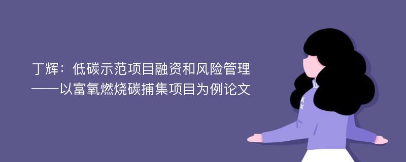 丁辉：低碳示范项目融资和风险管理——以富氧燃烧碳捕集项目为例论文