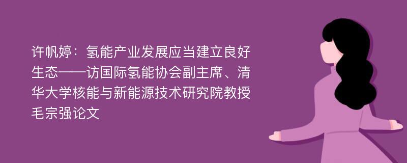 许帆婷：氢能产业发展应当建立良好生态——访国际氢能协会副主席、清华大学核能与新能源技术研究院教授毛宗强论文