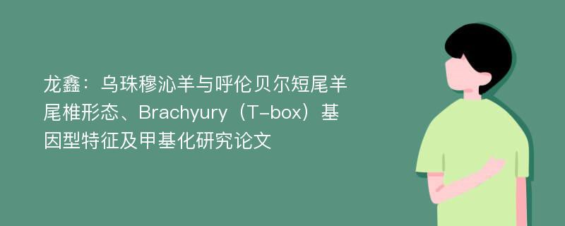 龙鑫：乌珠穆沁羊与呼伦贝尔短尾羊尾椎形态、Brachyury（T-box）基因型特征及甲基化研究论文