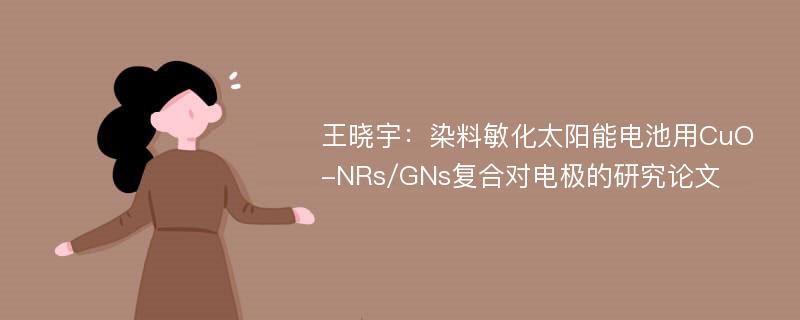 王晓宇：染料敏化太阳能电池用CuO-NRs/GNs复合对电极的研究论文