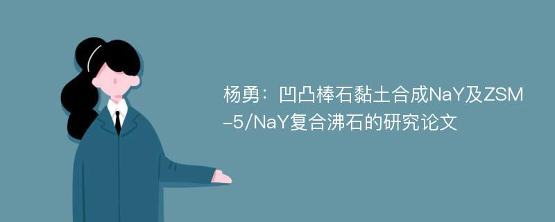 杨勇：凹凸棒石黏土合成NaY及ZSM-5/NaY复合沸石的研究论文